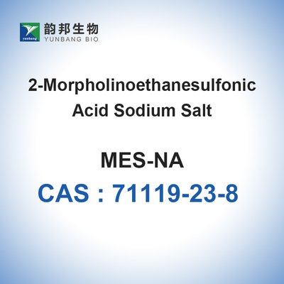 Os amortecedores biológicos de sal do sódio de MES pulverizam Bioreagent CAS 71119-23-8