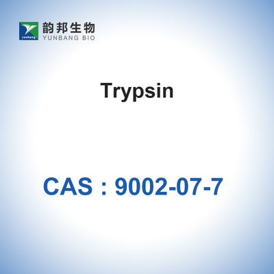 Trypsin biológico do pH das enzimas 7,6 dos catalizadores de CAS 9002-07-7 do pâncreas suíno
