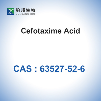 CAS 63527-52-6 matérias primas antibióticas de Cefotaximeacid Cefotaxime