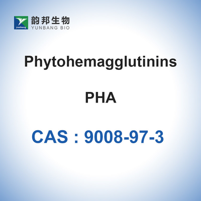 Pó liofilizado de CAS do Phaseolus de PHA Phytohemagglutinin-M 9008-97-3 vulgar