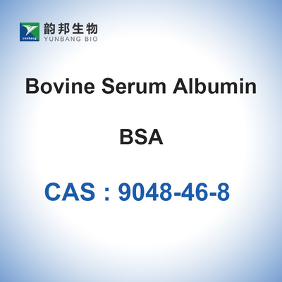 A albumina de soro bovino pulveriza CAS 9048-46-8 que o reagente bioquímico BSA liofilizou o pó
