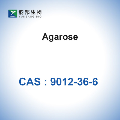 Heterósido bioquímico BioReagent do Agarose de CAS 9012-36-6
