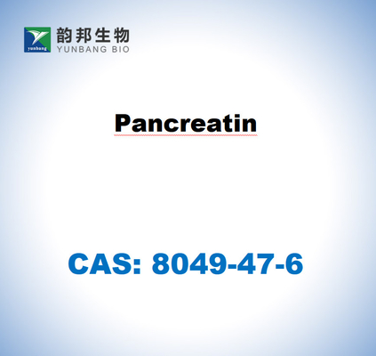 CAS 8049-47-6 Pancreatina do pâncreas de suínos