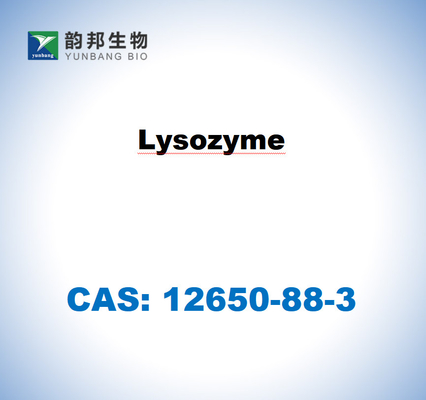CAS 12650-88-3 Lizozima do branco de ovo de galinha