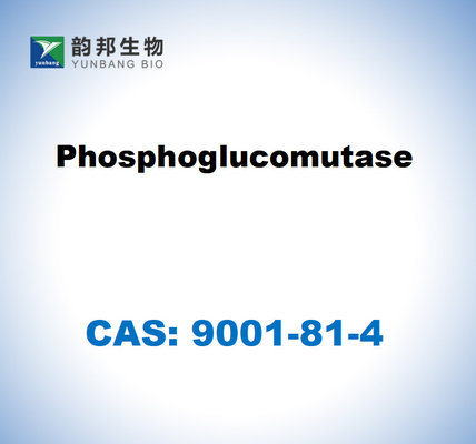 CAS 9001-81-4 Fosfoglucomutase CE 5.4.2.2