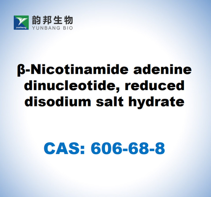 CAS 606-68-8 NADH, disódico, β-nicotinamida adenina dinucleotídeo, hidrato de sal disódico reduzido