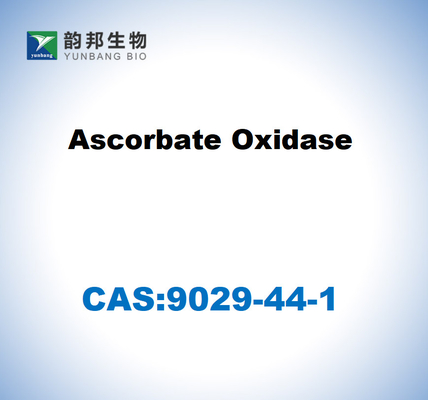 CAS 9029-44-1 Oxidase do ascórbato