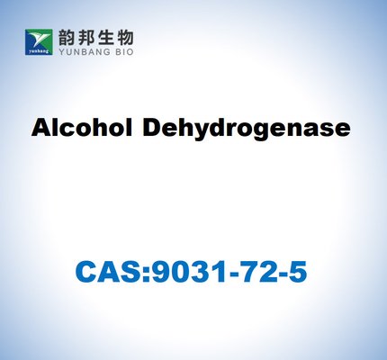 CAS 9031-72-5 Desidrogenase alcoólica