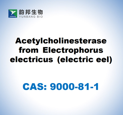 CAS 9000-81-1 Butirilcolinesterase do soro equino