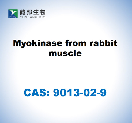 CAS 9013-02-9 Miokinase do músculo do coelho