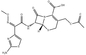 CAS 63527-52-6 matérias primas antibióticas de Cefotaximeacid Cefotaxime