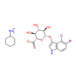 Sal de Cyclohexylammonium do β-D-Glucuronide 5-Bromo-4-Chloro-3-Indolyl de X-Glucuronide CHA CAS 114162-64-0