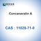 CAS 11028-71-0 Concanavalin A de Canavalia Ensiformis Jack Bean