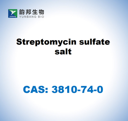 CAS 3810-74-0 Sal de sulfato de estreptomicina Streptomyces sp.