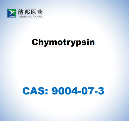 α-Quimotrypsina 9004-07-3 proveniente do pâncreas bovino USP Grade ((1500 u/Mg)