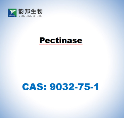 CAS 9032-75-1 Pectinase de Aspergillus niger