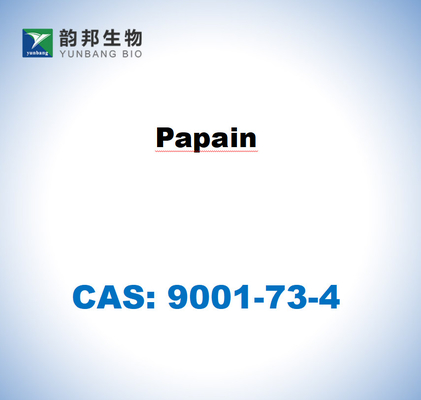 CAS 9001-73-4 Papaína de látex de mamão