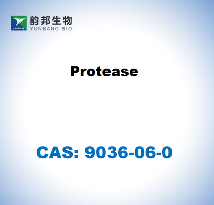 CAS 9036-06-0 Protease de Streptomyces griseus