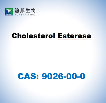 CAS 9026-00-0 Esterase de colesterol de Pseudomonas fluorescens