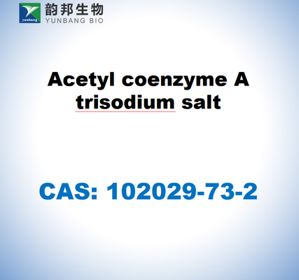 CAS 102029-73-2 Coenzima acetil A sal de trisodio