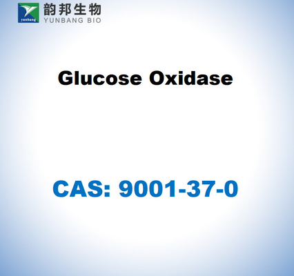 CAS 9001-37-0 Glucose oxidase de Aspergillus niger
