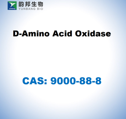 CAS 9000-88-8 D-aminoácido oxidase de rim de suínos