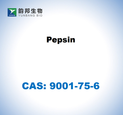 CAS 9001-75-6 Pepsina da mucosa gástrica dos suínos