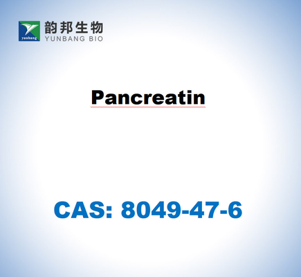 CAS 8049-47-6 Pancreatina do pâncreas de suínos