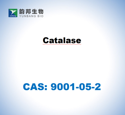 CAS 9001-05-2 Catalase do fígado bovino