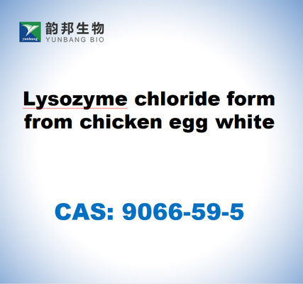 CAS 9066-59-5 Forma de cloreto de lisozima de branco de ovo de galinha
