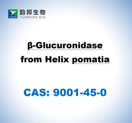 CAS 9001-45-0 B-glucuronidase de hélice Pomatia