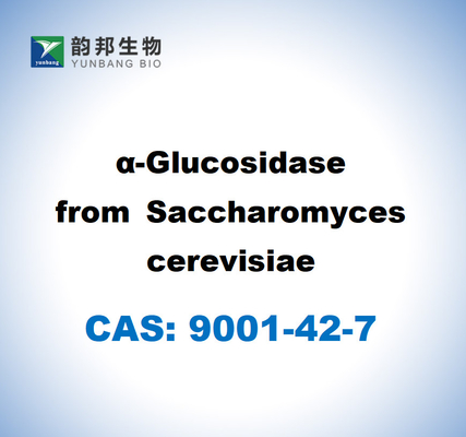 CAS 9001-42-7 A-glucosidase de Saccharomyces cerevisiae