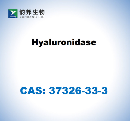 CAS 37326-33-3 Hialuronidase de testículos bovinos