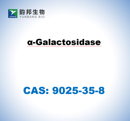 CAS 9025-35-8 A-galactosidase de Aspergillus Niger