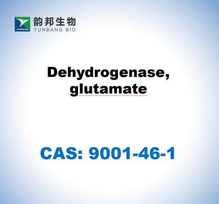 CAS 9001-46-1 Desidrogenase, glutamato