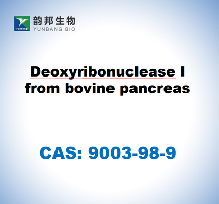 CAS 9003-98-9 Desoxirribonuclease I do pâncreas bovino