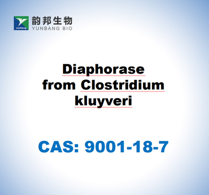 CAS 9001-18-7 Diaforase de Clostridium kluyveri