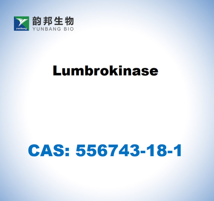 CAS 556743-18-1 Lumbroquinase