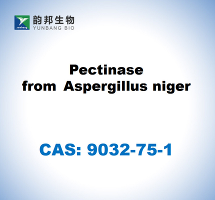 CAS 9032-75-1 Pectinase de Aspergillus niger