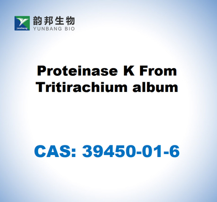 CAS 39450-01-6 Proteinase K do álbum de Tritiraquium