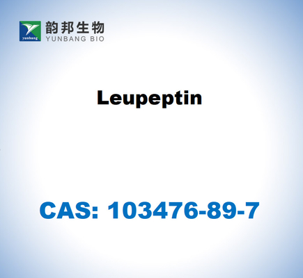 CAS 103476-89-7 Leupeptina