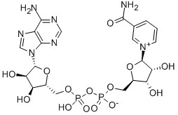 CAS 53-84-9 B-Nicotinamida Adenina Dinucleotídeo Hidrato