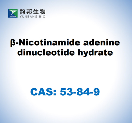CAS 53-84-9 B-Nicotinamida Adenina Dinucleotídeo Hidrato