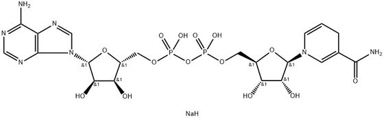 CAS 606-68-8 NADH, disódico, β-nicotinamida adenina dinucleotídeo, hidrato de sal disódico reduzido
