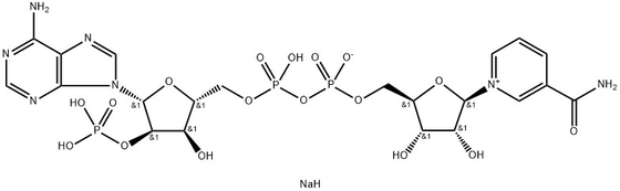 CAS 24292-60-2 NADP, Sal disódica
