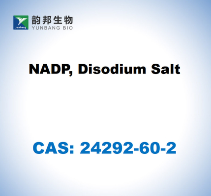 CAS 24292-60-2 NADP, Sal disódica