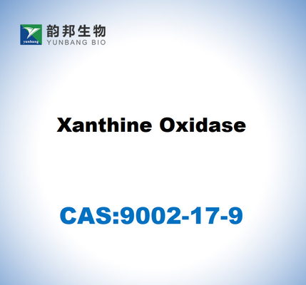 CAS 9002-17-9 Oxidase da xantina