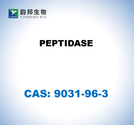 CAS 9031-96-3 PEPTIDASE