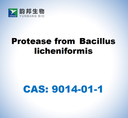 CAS 9014-01-1 Protease de Bacillus Licheniformis