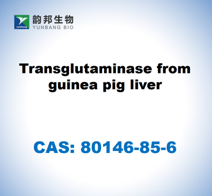 CAS 80146-85-6 Transglutaminase de fígado de porco-da-índia